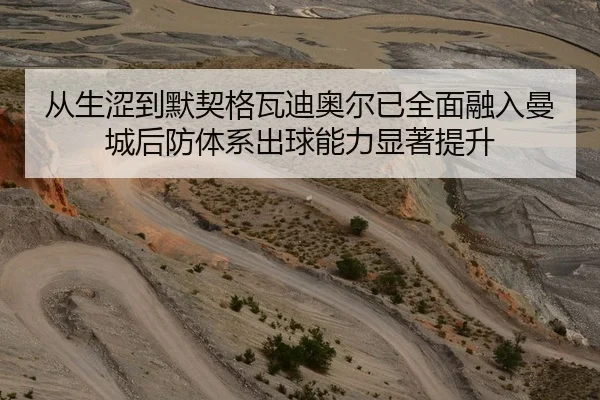 从生涩到默契格瓦迪奥尔已全面融入曼城后防体系出球能力显著提升