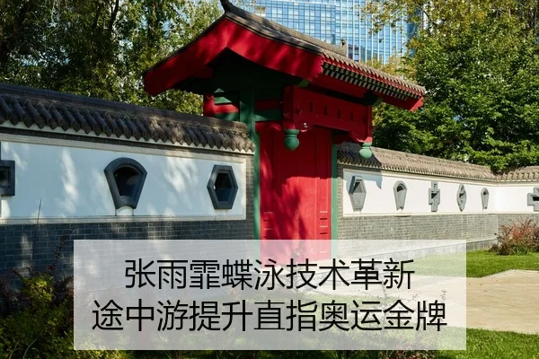 张雨霏蝶泳技术革新 途中游提升直指奥运金牌